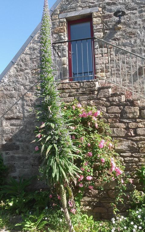 Chambres D'Hotes Du Vent Solaire Plozévet Rum bild